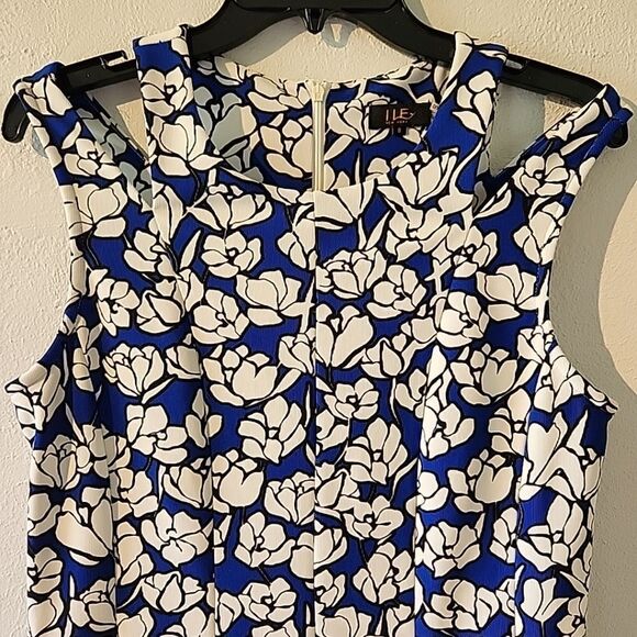 ILE New York Dress Sz 8 Blue & White Floral Patterned, Pleated Fit & Flare - Picture 3 of 6